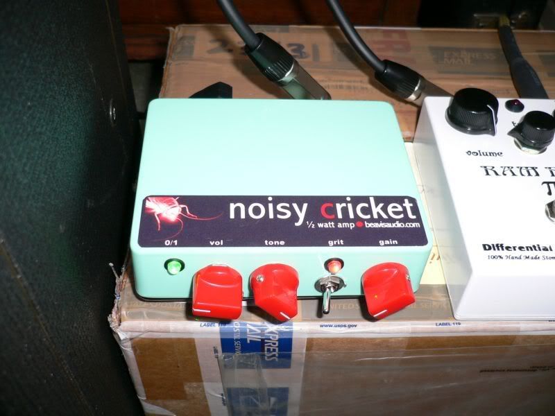 Noisy Cricket! Harmony Central