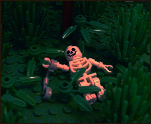 heroicaquest15-skeleton.jpg