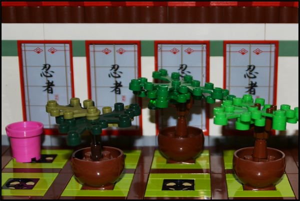 heroicaquest50-bonsaigarden2.jpg
