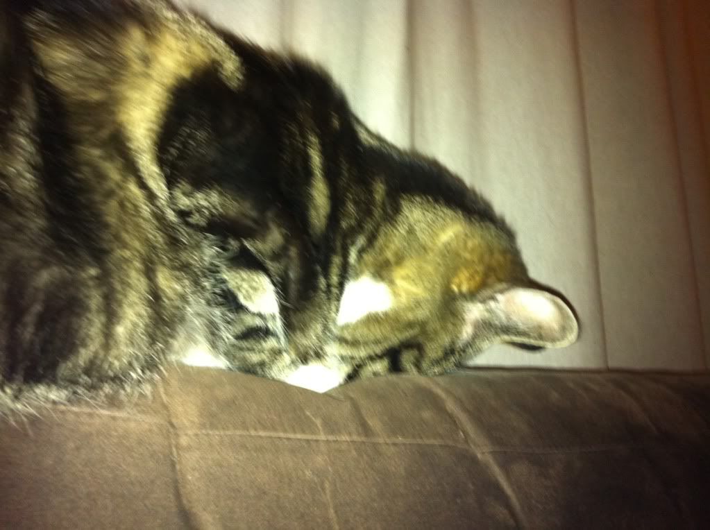 foto-2-1.jpg