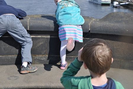  photo DSC_6547_zpshcmhduc6.jpg