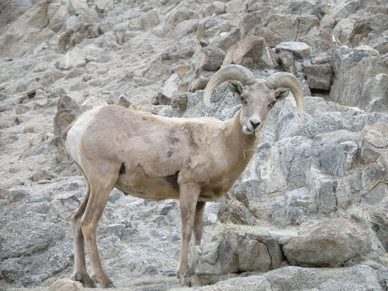 a few pix from the new camera