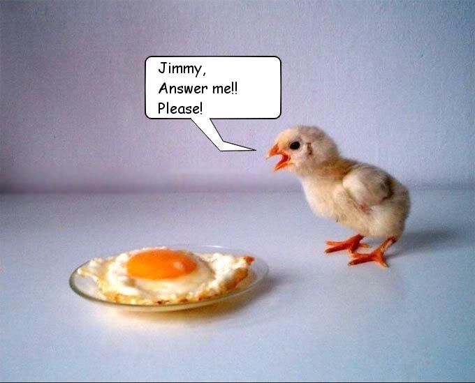 Pollo.jpg