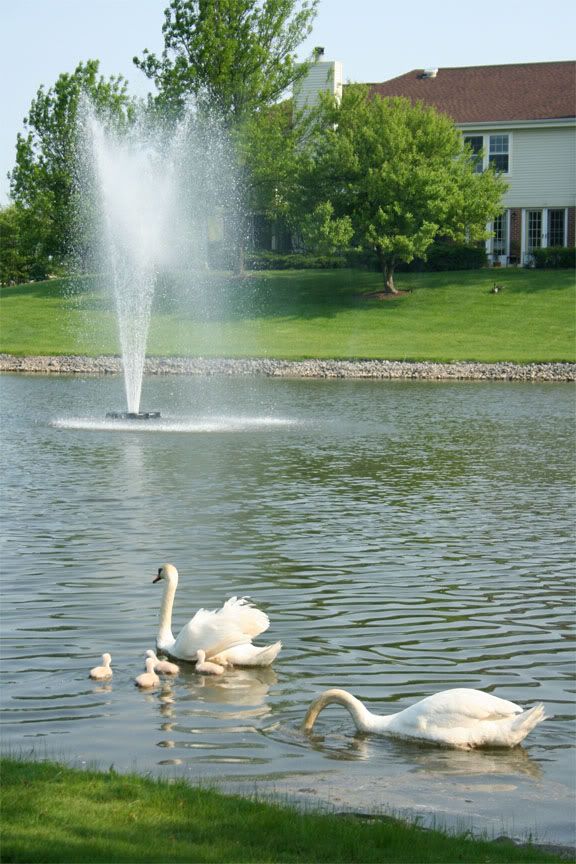 IMAGE: http://i30.photobucket.com/albums/c325/Skyline4life/photo/park3copy.jpg