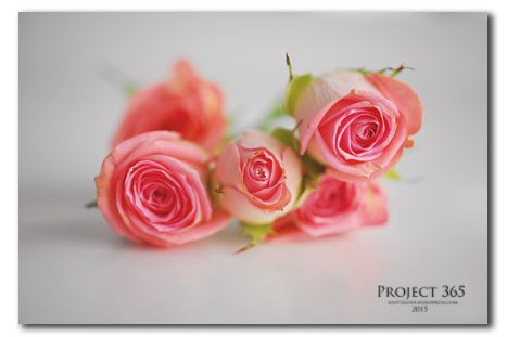 Project 365.57