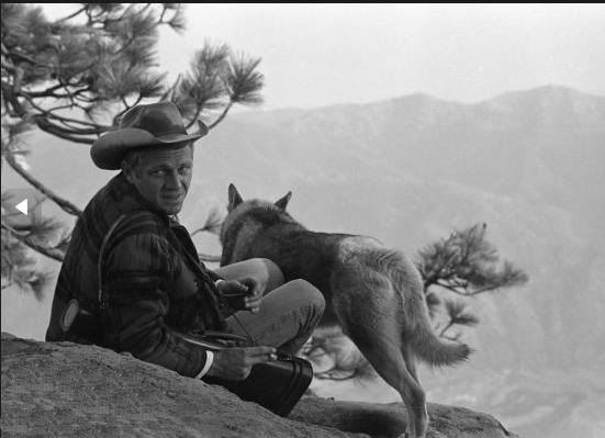 thanks blue for these gorgeous ...