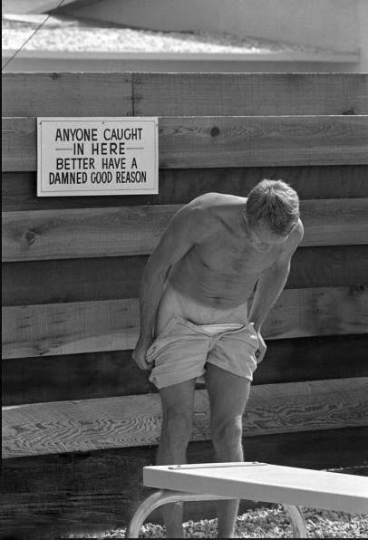 thanks blue for these gorgeous ...