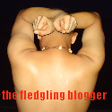 TheFledglingBlogger.png image by Anna727
