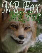 Mr.Fox Avatar