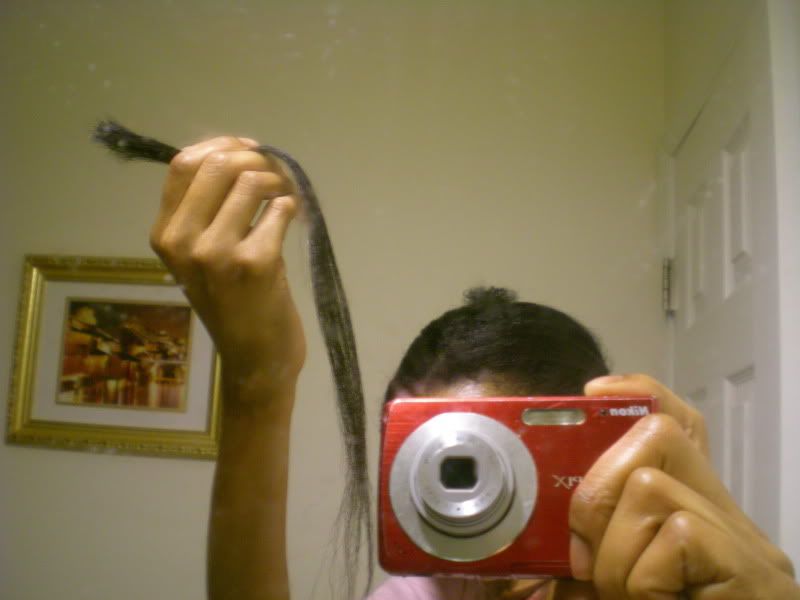 DSCN5098.jpg