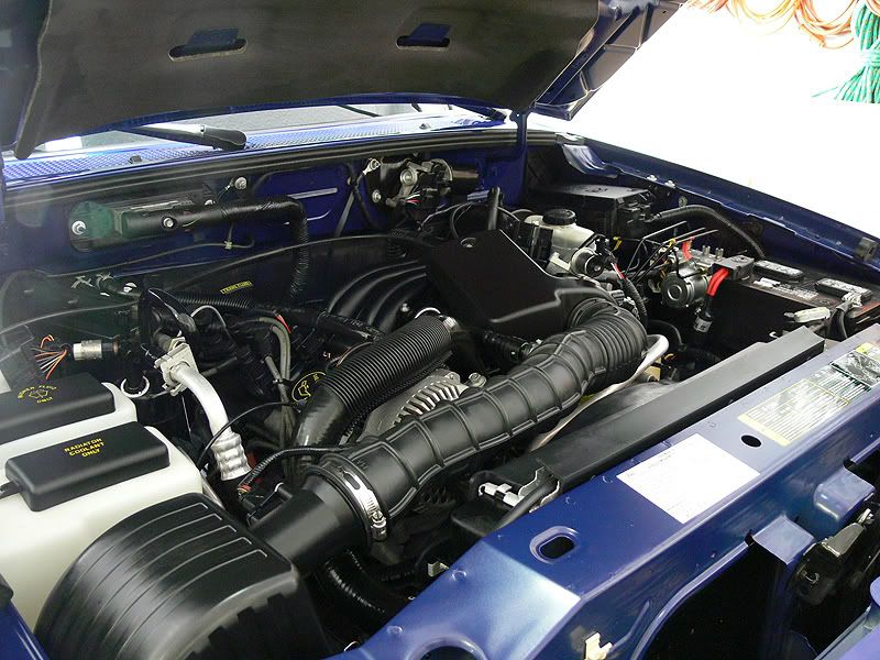 P1010404.jpg