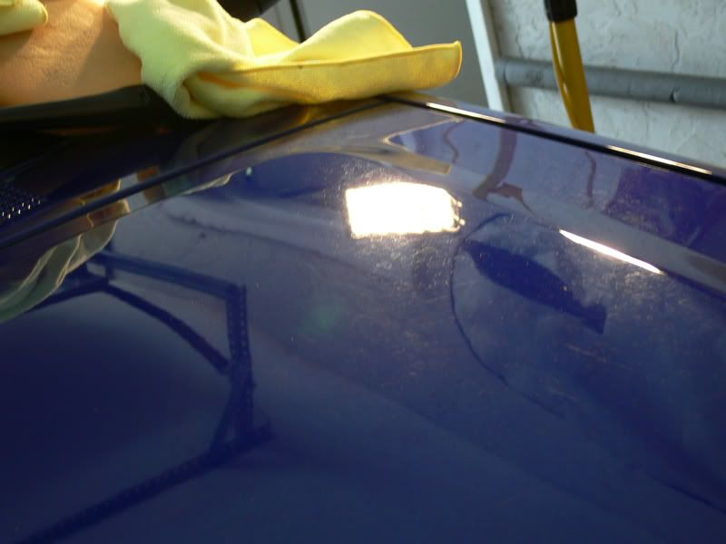 P1010416.jpg