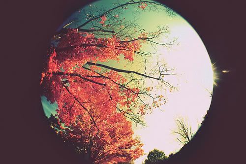 Stories at my fingertips Inspriday