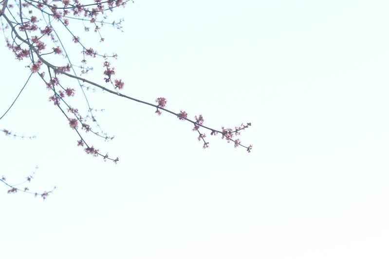 Stories at my fingertips Inspriday