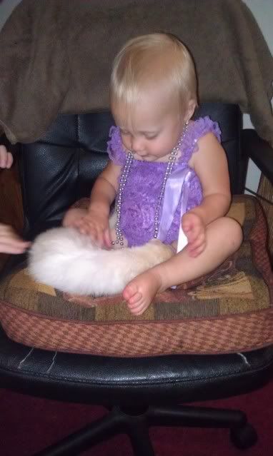 Uploaded from the Photobucket Android App