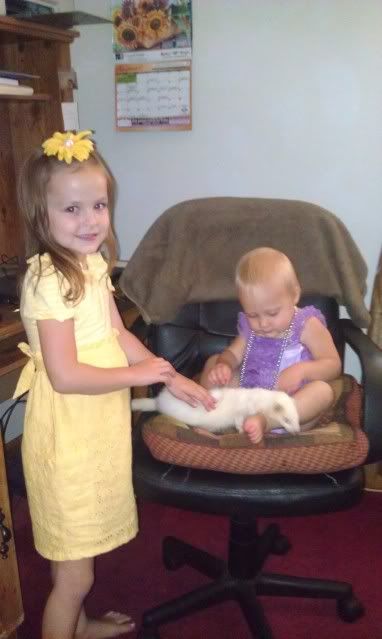 Uploaded from the Photobucket Android App
