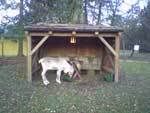 hellbrunn3
