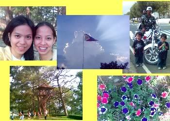 pma, too