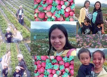 strawberry fields