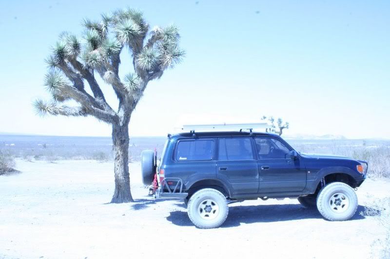 angelandelmirage121.jpg