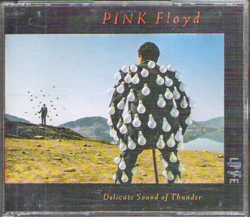 Pink%20Floyd%20Delicate%20Sound%20of%20Thunder_zpsky9hkawj.jpg