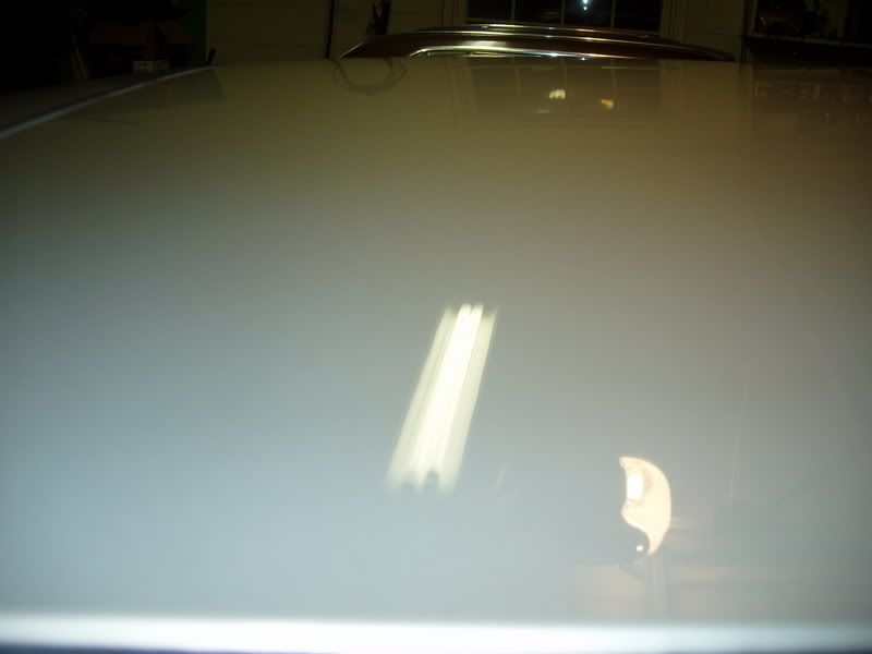bmw071.jpg