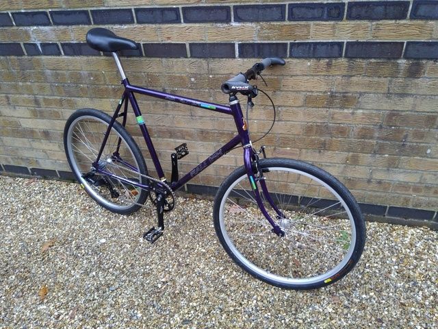 raleigh ascender mountain bike