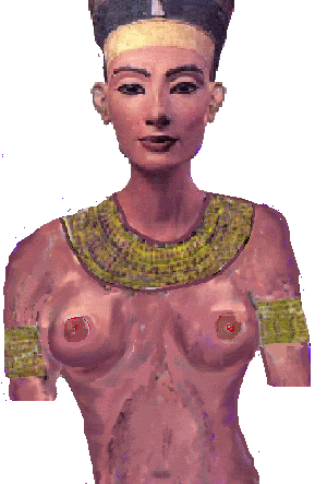 nefertiti Pictures, Images and Photos