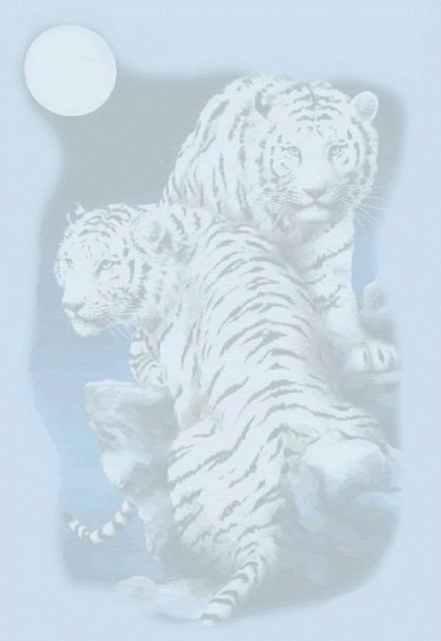 apple wallpaper tiger. White Tiger Wallpaper Desktop