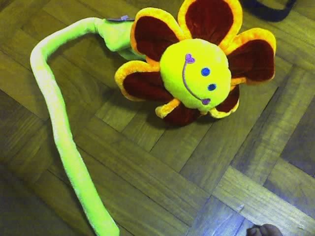 Image hosting by Photobucket