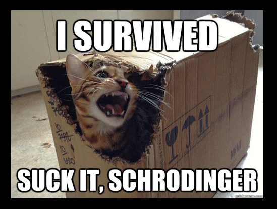 Schroedingers-Cat---Suck-i.png