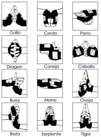 Como Hacer un Jutsu (Vida Real)