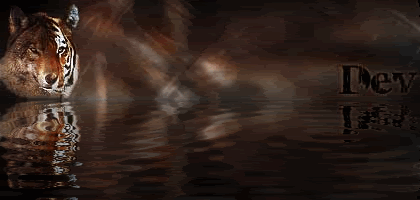 Posted Image