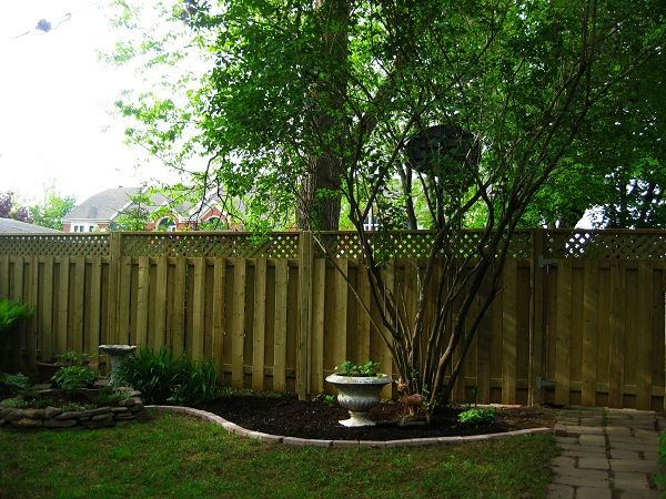 photo Garden002_zps2cd8b470.jpg