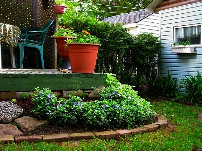 photo Garden006_zps02ad8e95.jpg