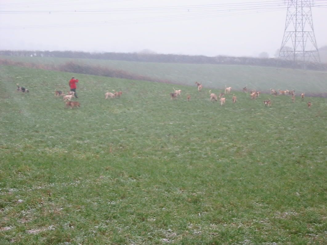 new20051280.jpg