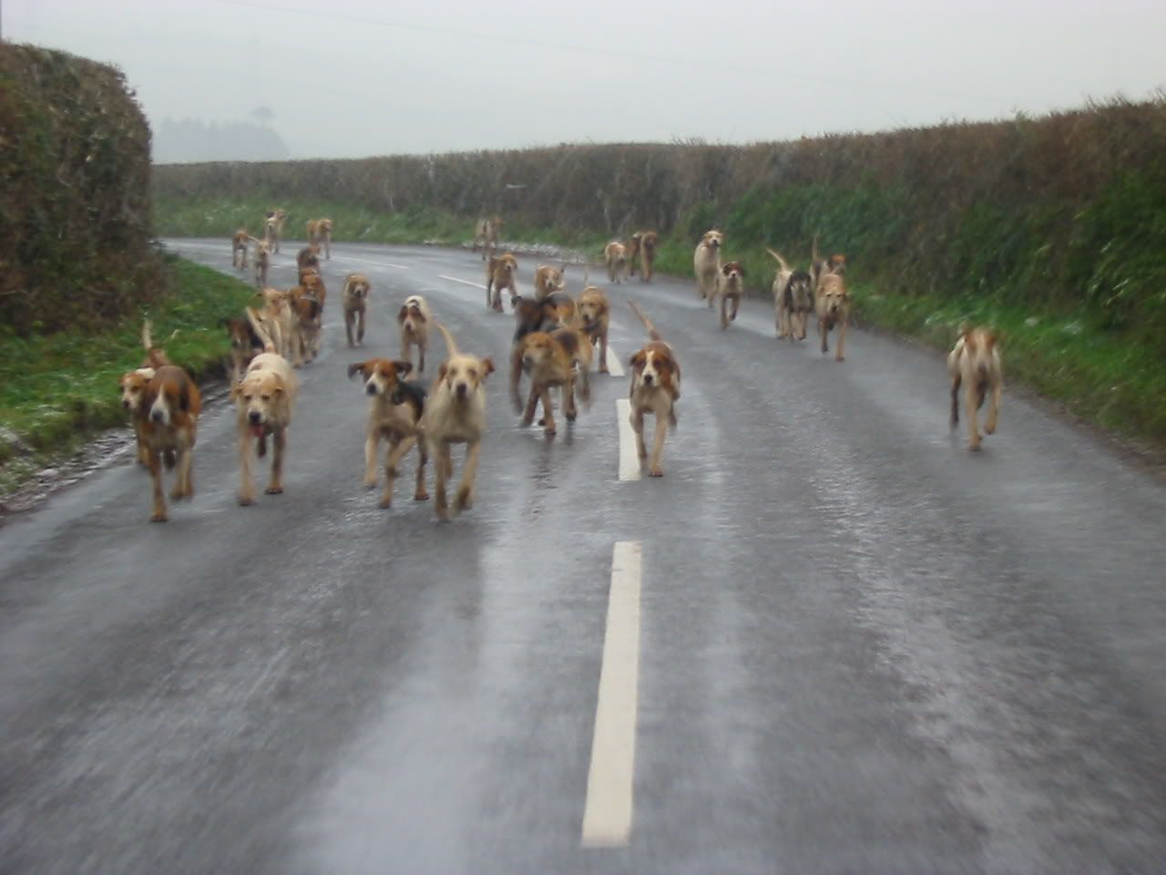 new20051295.jpg