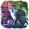 11222222.gif