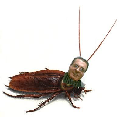 cockroach2.jpg