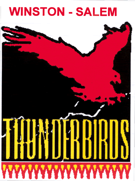 WS_Thunderbirds.gif