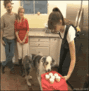 [Image: why.gif]