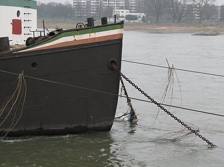 Hochwasser Treibgut Rheinlaborschiff