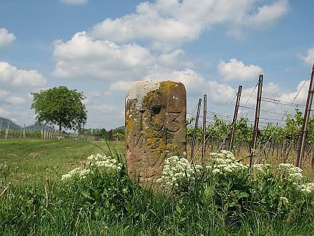 Stone near Wollmesheim