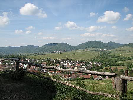 View Kleine Kalmit  Ilbesheim