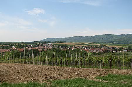 Steinseltz