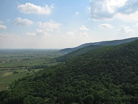 View from  Castle Hambach