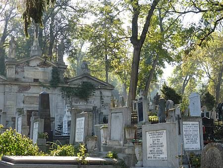 Cluj-Napoca photo 1015-Friedhof_Cluj_Napoca_zpsfadb81e8.jpg