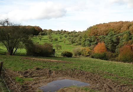 Landscape near Gut Vogelsang