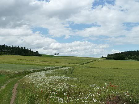 Landscape near Iversheim