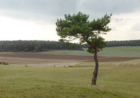 Landscape near Stockert photo 630-Landschaft_W_Stockert_zpsopqj79z3.jpg